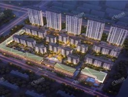 新天域投资有限公司（武汉天域梯业股份有限公司介绍？）