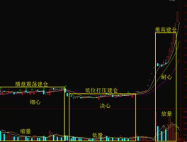 股票300119，如何看清主力建仓动向？