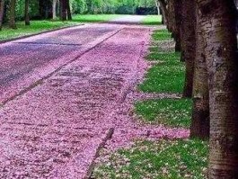 求生股市（股海求生）