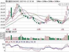 股票002265 西仪股份到底是做什么的？