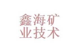 鑫海矿业技术装备股份有限公司（鑫海矿业技术装备股份有限公司上没上市）