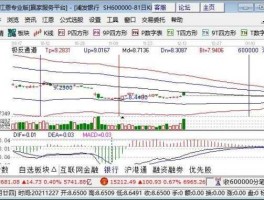 股票000532（股市中强势股票是啥意思？）