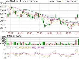 山东黄金股吧（山东黄金股吧东方财富）