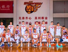 东莞宏远 cba有几个广东队？