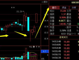 600385？个股最多可以连续有多少个涨停板？