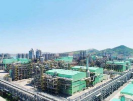 大连石化吧？大连安泰化工有限公司怎么样？