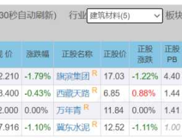 濮耐发债什么时候上市的简单介绍