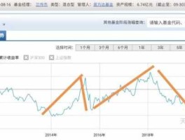 110025，易方达资源行业基金（110025）怎样？