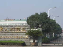 九洲药业（浙江九洲药业股份有限公司怎么样？）
