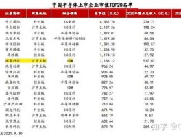 688153（半导体材料龙头一览？）