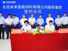 东岳硅材？东岳硅材有硅矿吗？