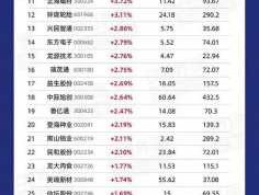 300848（山东上市公司名单？）