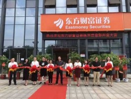 东方财富股票？东方财富是个证券公司吗？