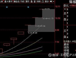 二胎概念股（锦泓集团属于什么概念股？）