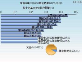 股票600487，苏州有哪些股票？