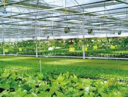 农业项目有哪些（新型农业项目有哪些？）