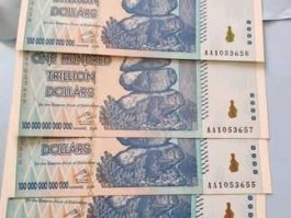 一百万津巴布韦币(100万 津巴布韦币)
