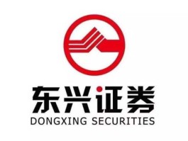 东兴证券股份有限公司（东兴证券股份有限公司是国企吗？）