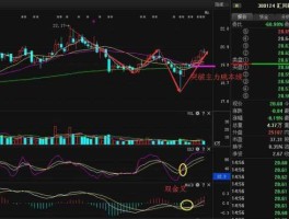 股票300124（股票入门知识汇川技术300124这只股票行情怎么样啊？）