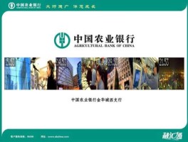 农业银行网站 中国农业银行官网是什么企业？