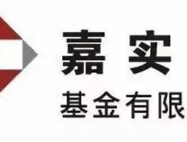 金边公正交易所做A50安全吗 嘉实企业变革股票型证券投资基金主要投资哪些行业？