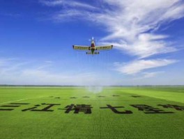 七星电子股票？七星水泥怎么样？