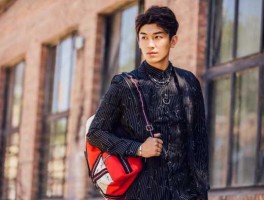 华谊背景 杨旭文背景？