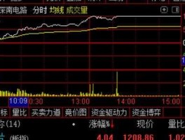 无穷大股票（为什么有些股票的市盈率为零呀？）