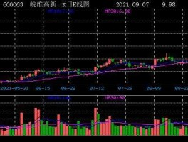 600063股票，安徽皖维集团有限责任公司的集团概况是什么？