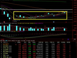 002217股票？股票名字后面带v是什么意思？
