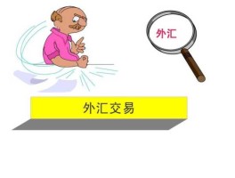 外汇交易商是什么意思（外汇交易商是什么意思呀）