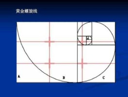 黄金螺线（黄金螺旋构图及解释？）