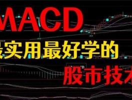 学习股市好（股市好学吗）