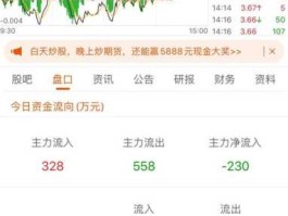 顺鑫农业股票，900开头的股票代码是什么股票？