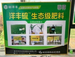 包含新洋丰千股千评的词条