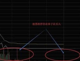 股票300216，买的股票连续跌停没有成交量该怎么办？