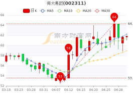 海大集团股票分析（海大集团的股票）