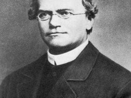 阿姆斯（近代学校体育之父是谁？）