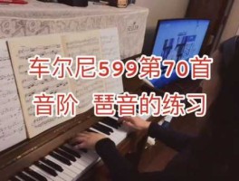 599美元 钢琴599什么意思？