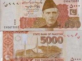 5000巴基斯坦卢比等于多少人民币(5000巴基斯坦卢比等于多少人民币多少)