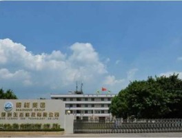 广东韶能集团，韶关八大企业？