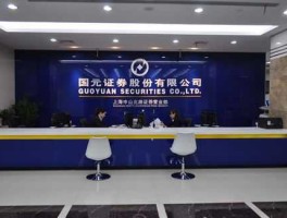 国元证券公司 国元证券介绍？
