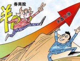 股市追大户（股市追涨是什么意思）