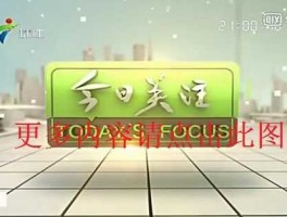 珠江今日关注？珠江频道夜倾情停播原因？