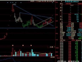 600223股票 600223后势如何？