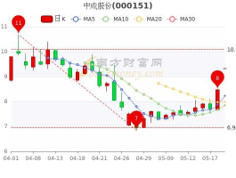 中成股份股票（中成股份是做什么的？）