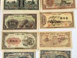 第一套人民币 第一套人民币一共有几张？