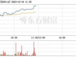 股票600114，东方Dz股票代码？