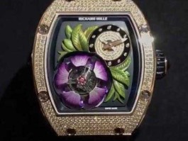 世界上最贵的手表图片(世界上最贵的手表图片大全)