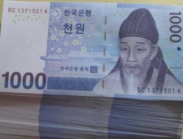 一亿韩元折合rmb(一亿韩元折合成人民币)